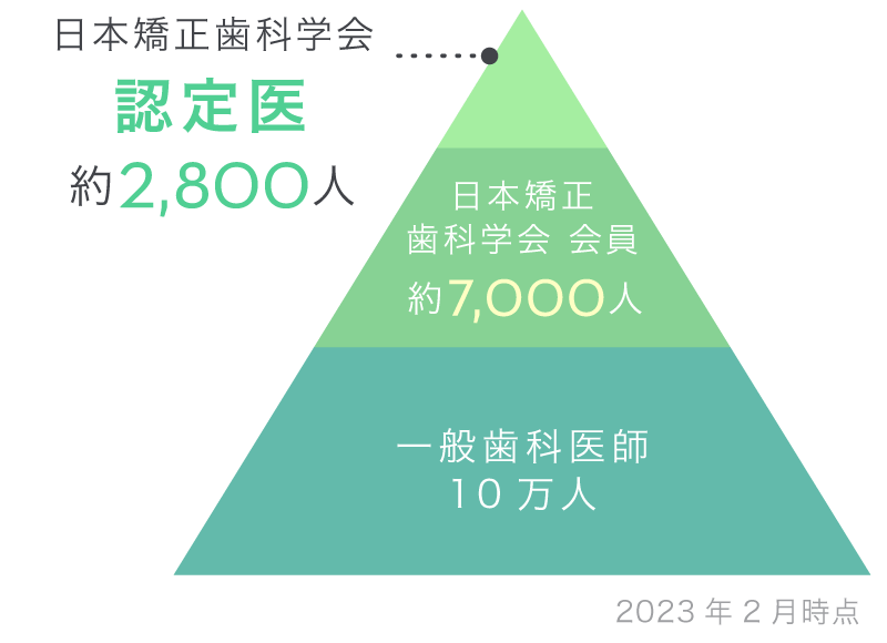 日本矯正歯科学会 認定医の割合